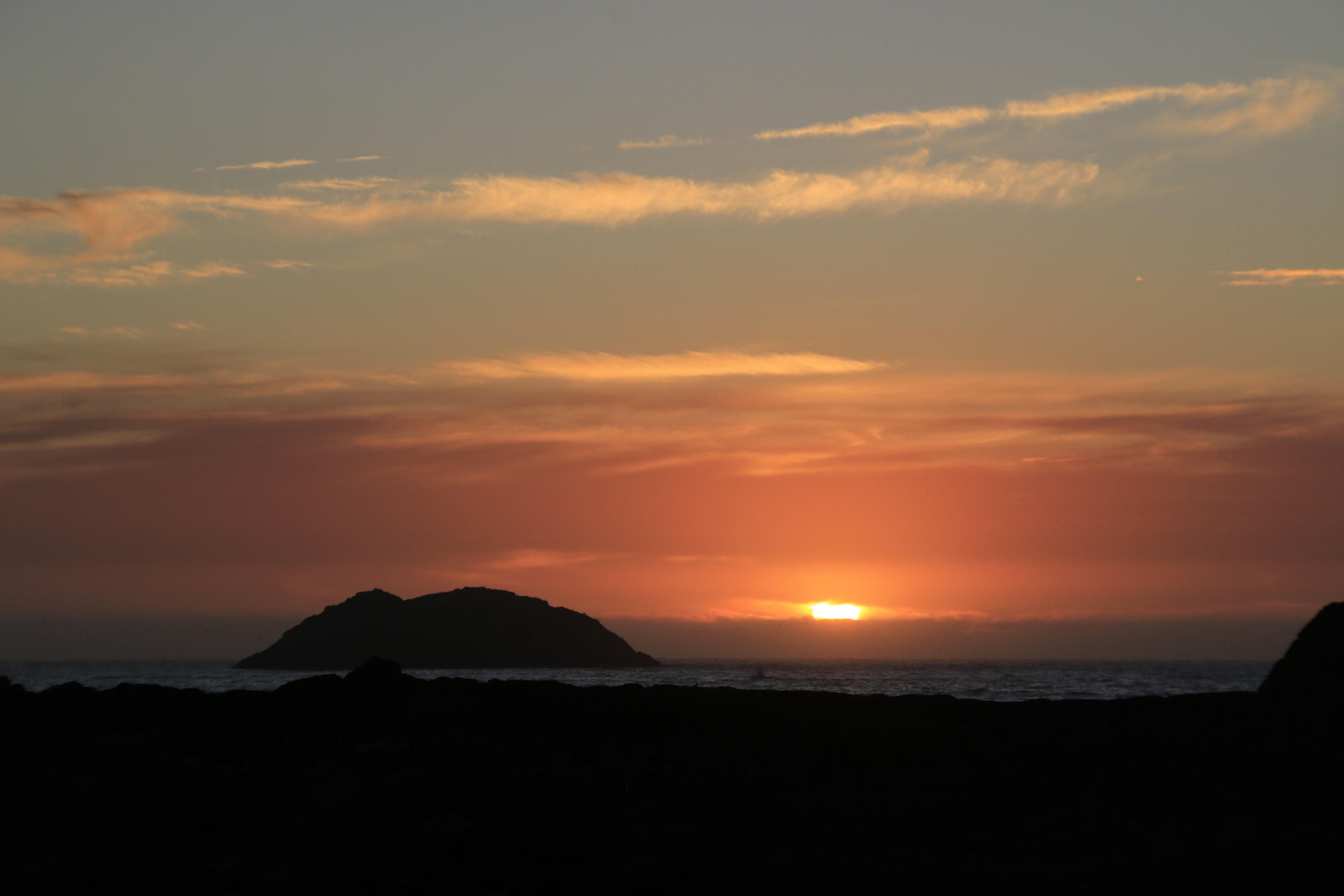 _MG_5262.JPG