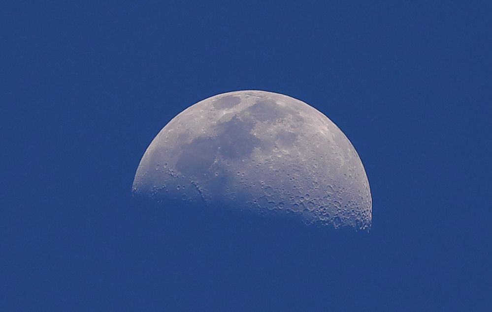 1/2 Moon During Evening