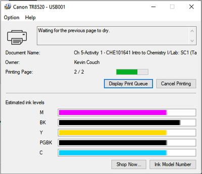 Disappearing Canon Ink.png