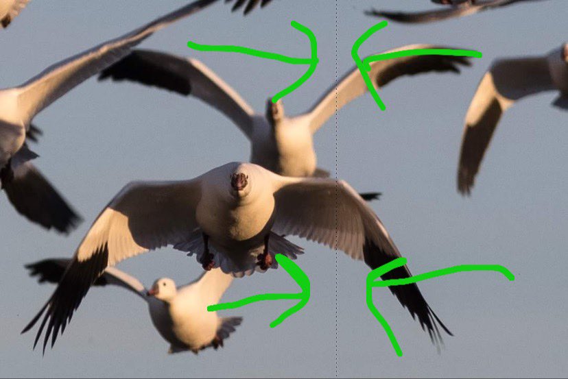 R5 vertical line on photos - Canon Community