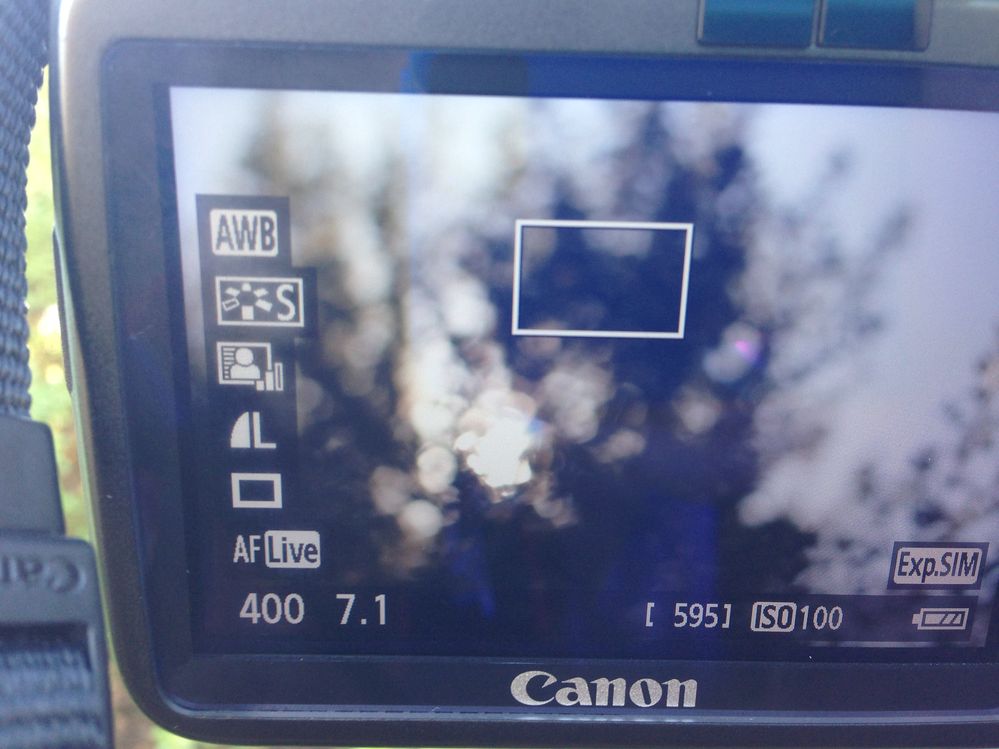 Photo 26-10-13, 09 36 14.jpg