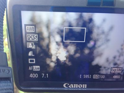 Photo 26-10-13, 09 36 14.jpg