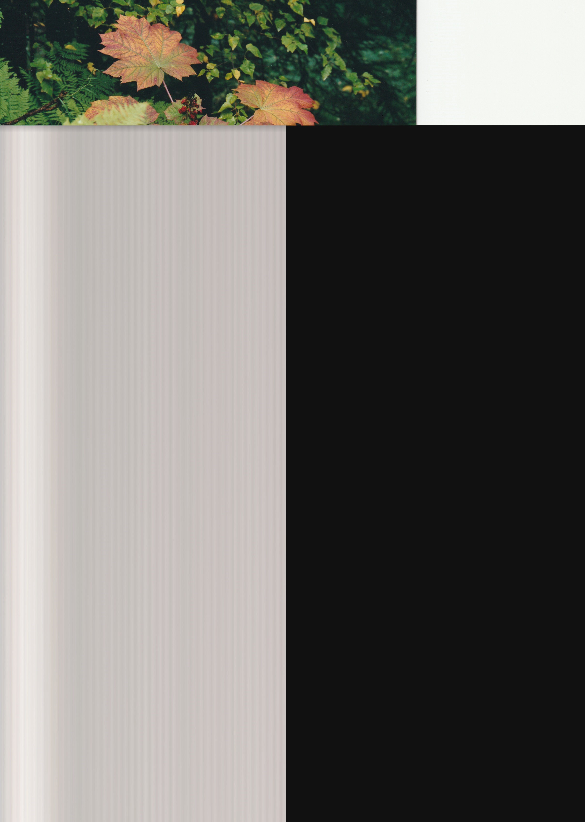 TR8520 Scanner is not scanning full picture Canon Community