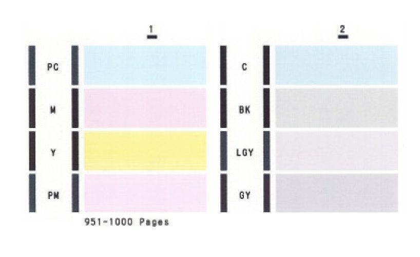 PRO100 Nozzle Check.jpg