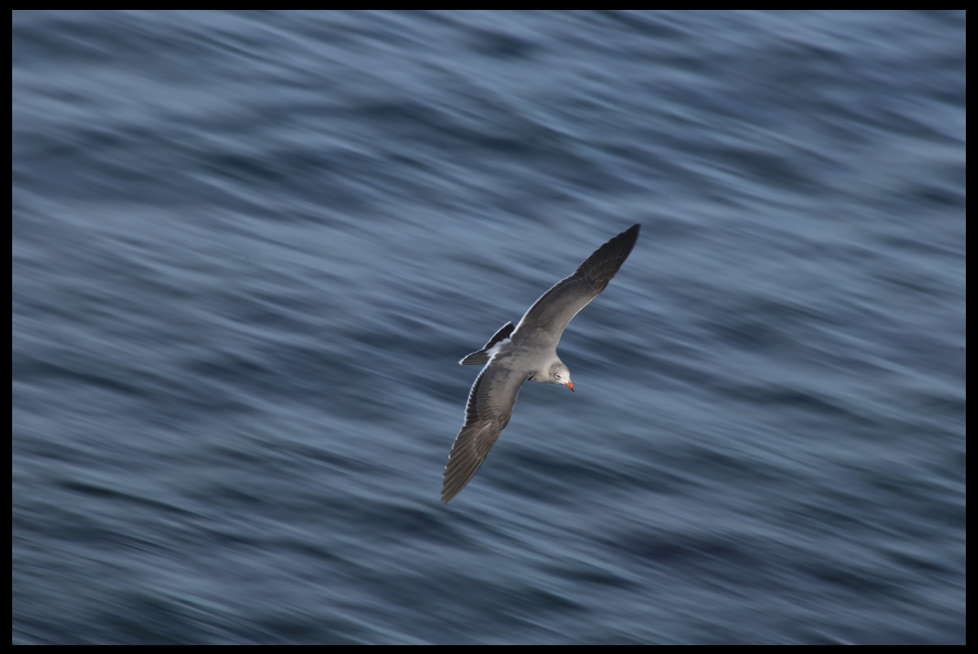 Screenshot from 2020-12-23 18-17-44.png