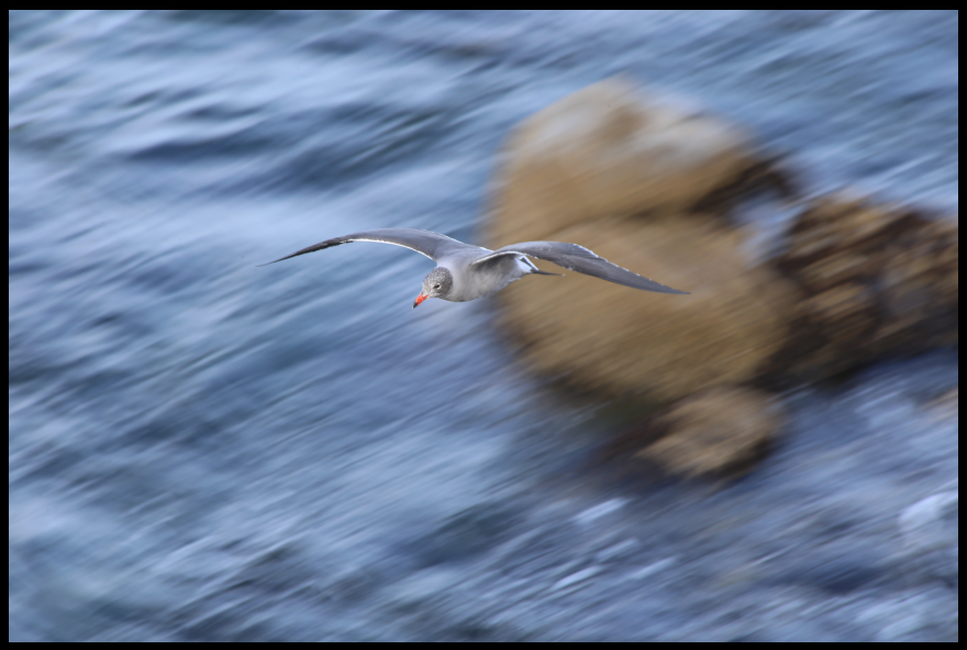 Screenshot from 2020-12-23 18-18-42.png