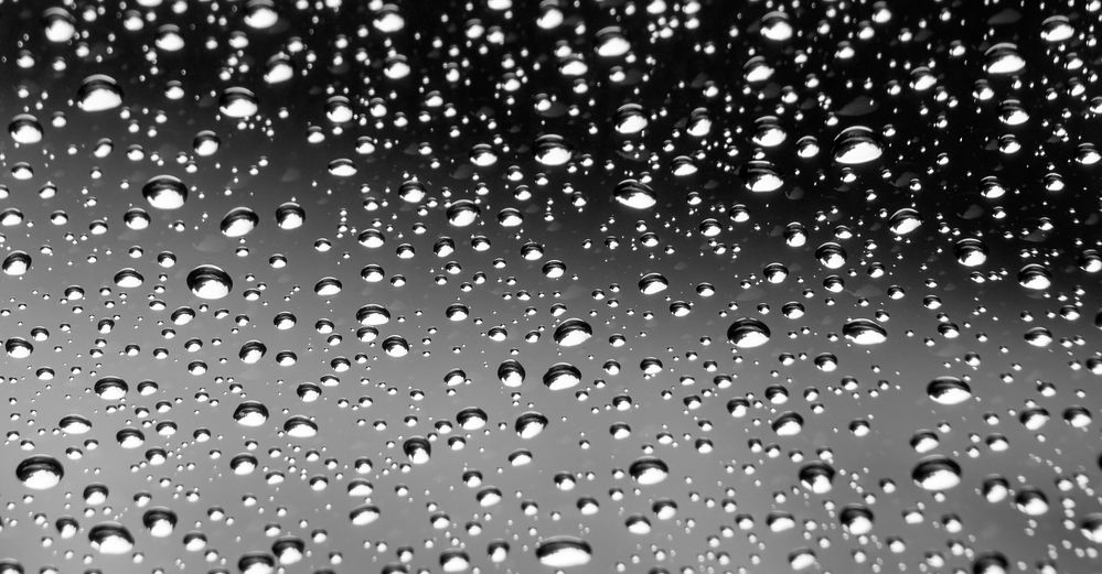 Raindrops.jpg