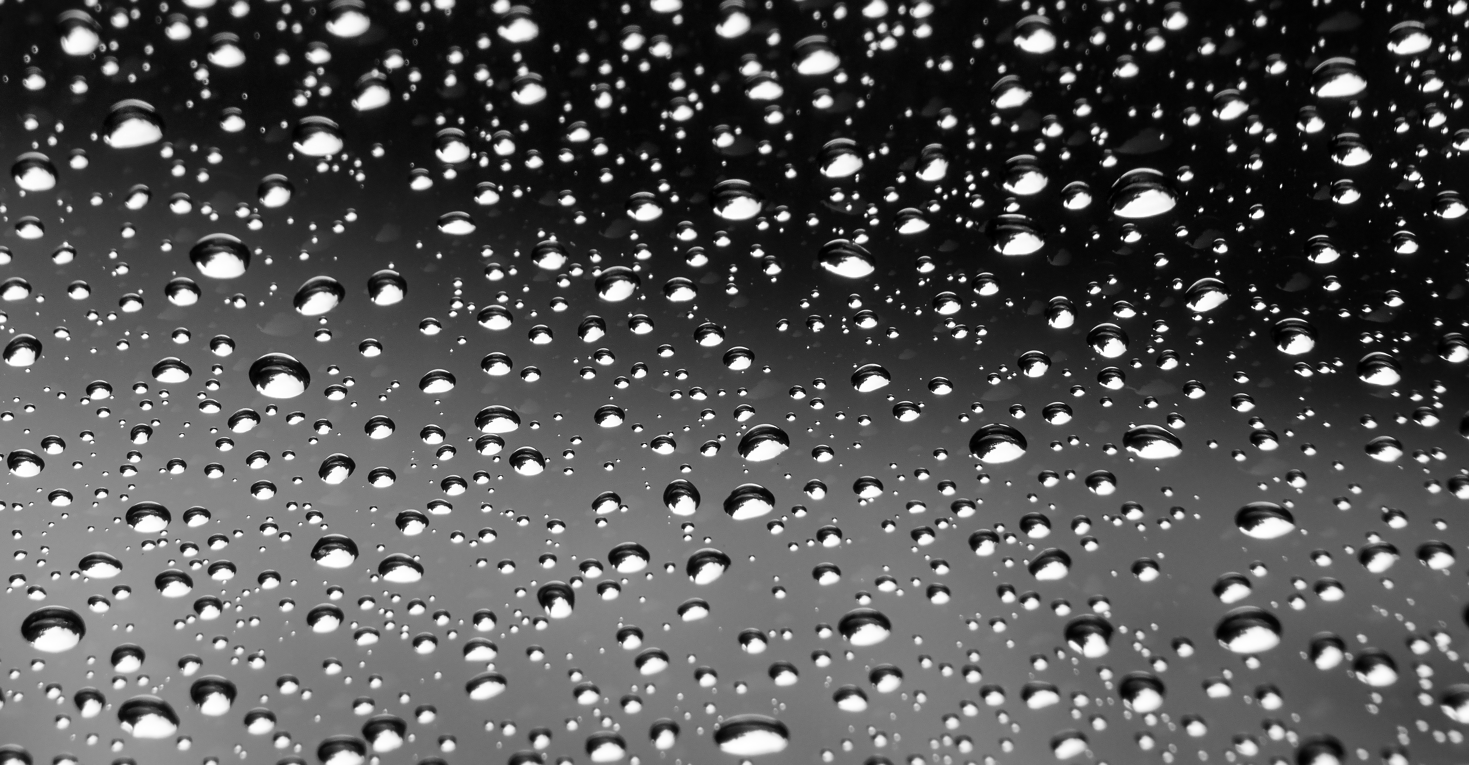 Raindrops.jpg
