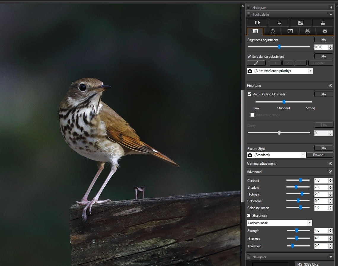 DPP 4 Basic Adjustment-1.jpg