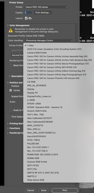 PhotoShop printer profile dropdown.png