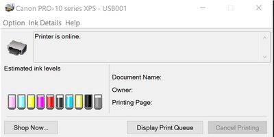 printer pro-10 series xps.jpg