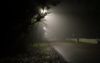 RoadFOG-1a.JPG