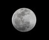 Moon Elcipse Full-2a.jpg