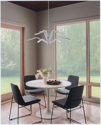 Scan of printed photo