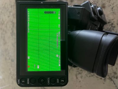 Canon C200 Green Display