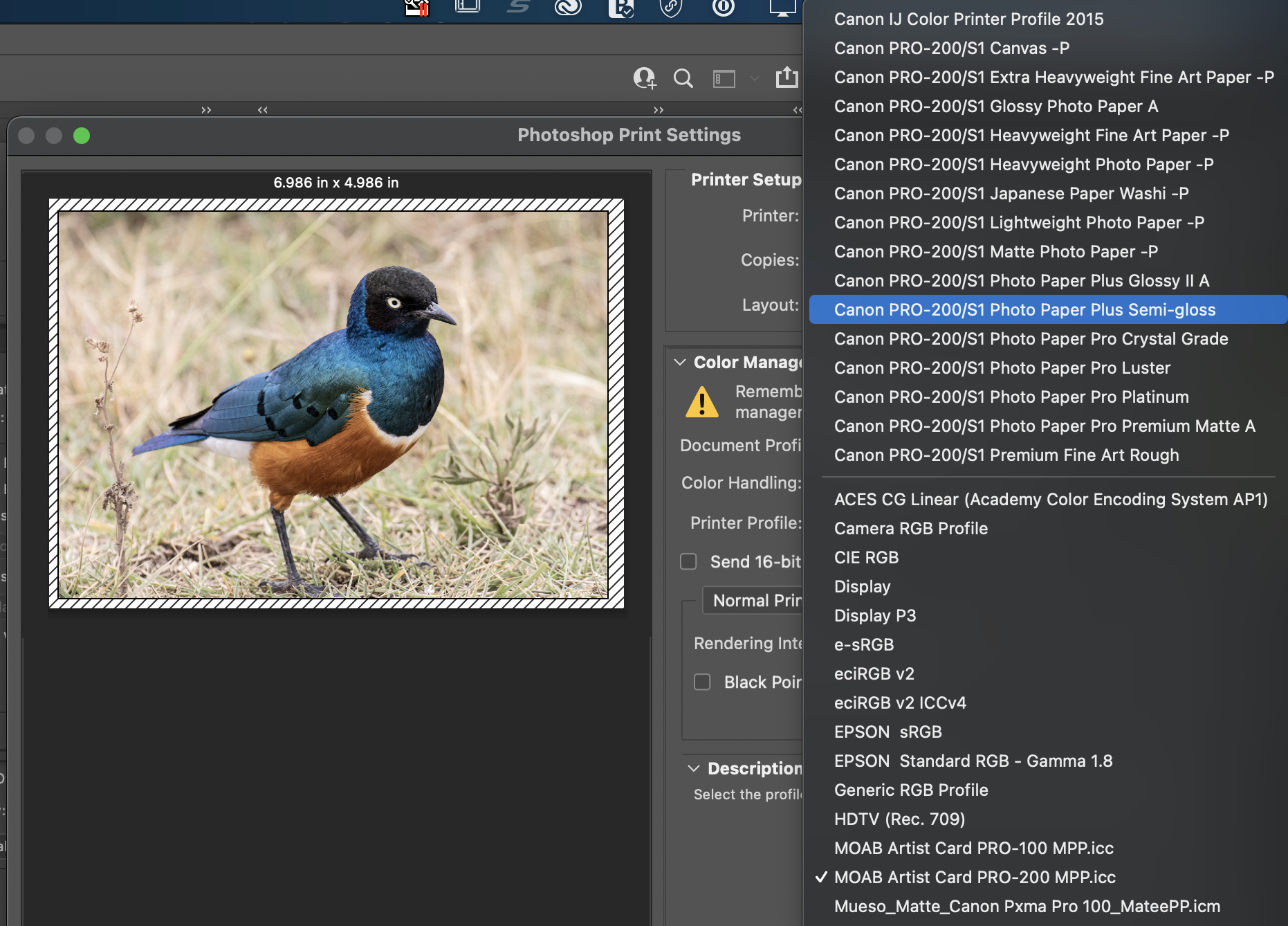 Location of Pro200 ICC Profiles Canon Community