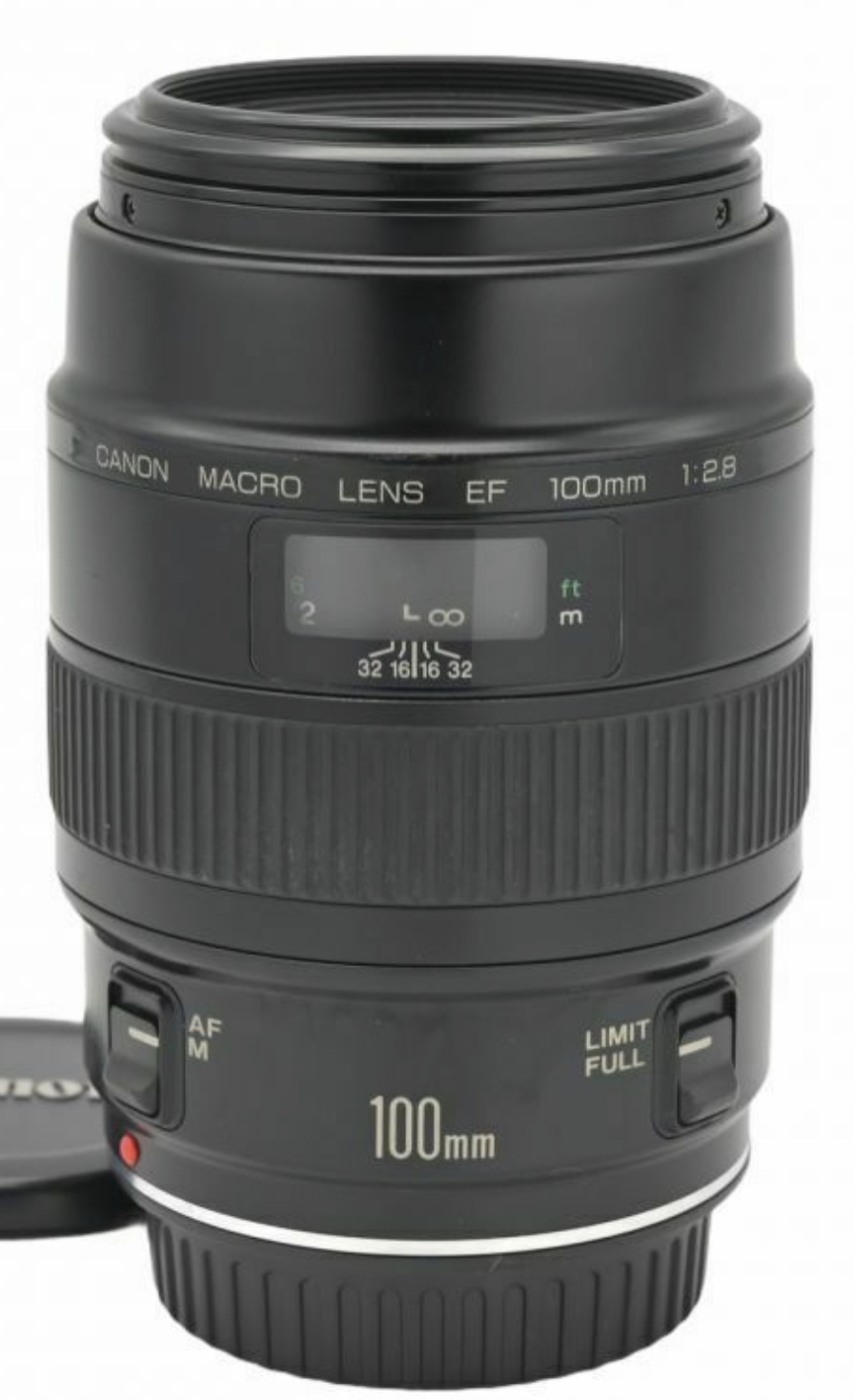 Canon EOS Rebel T6 with a Canon Macro lens 100mm f - Canon