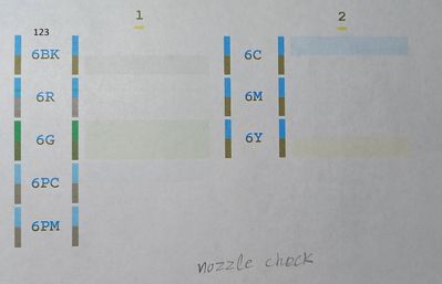 nozzle check_20210808.jpg