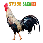Profile (SV388SAKA88)
