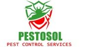 pestosol