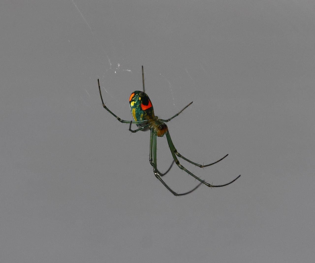 Fast vs Slow Lenses on Mirrorless Canon Community