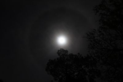 Moon Ring-01a.JPG