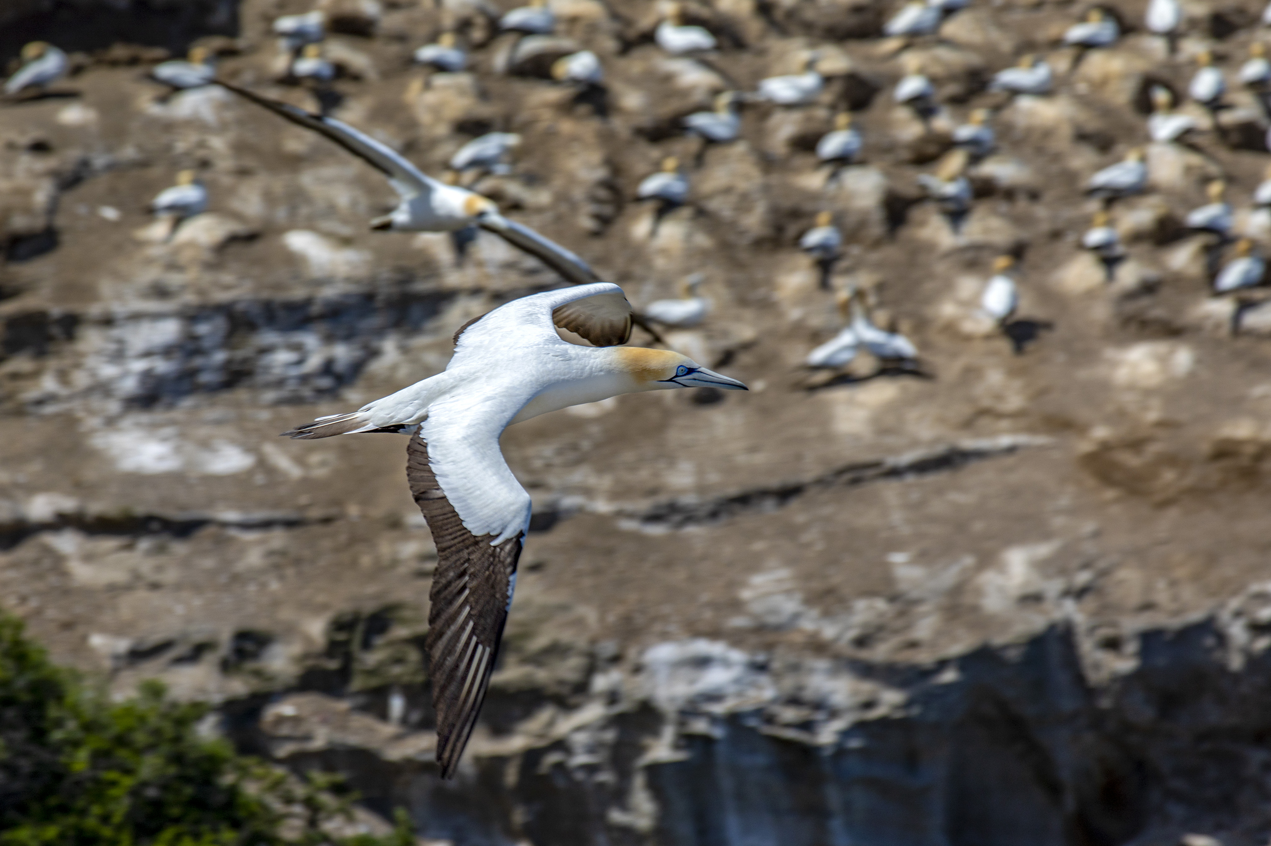 5DIV1092 LR Copy.jpg