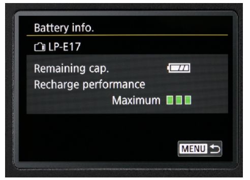T7i Battery Info.jpg