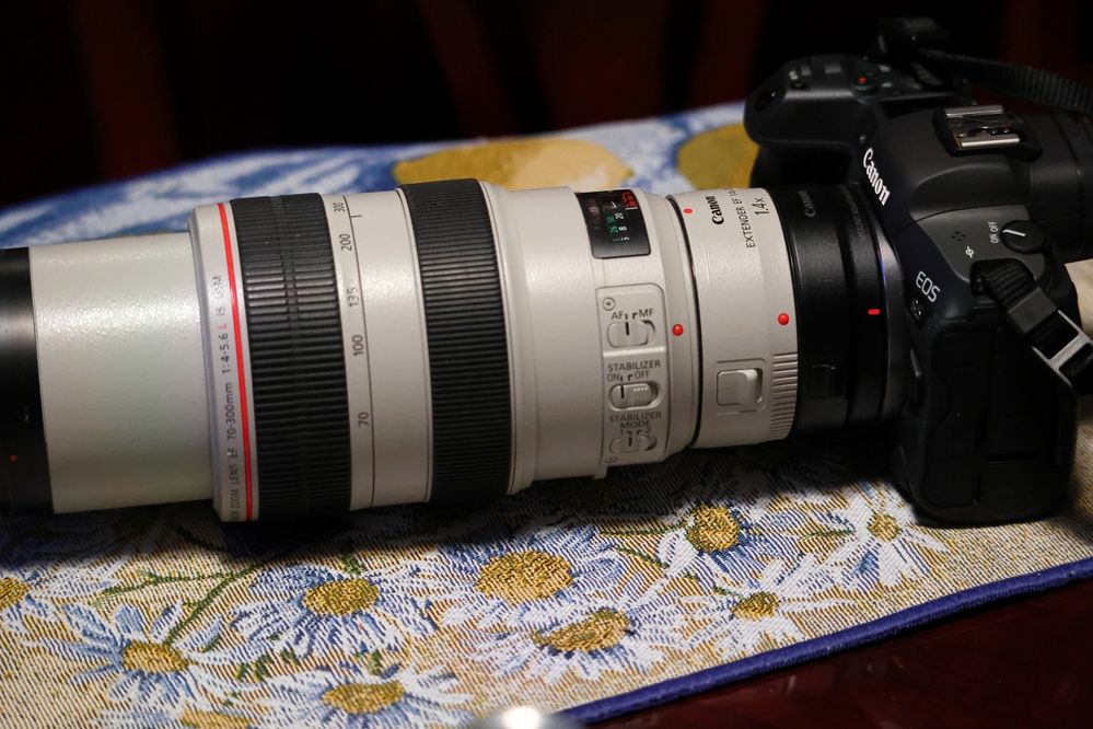 Canon ef 70-300㎜ ef エクステンダー 2× - カメラ