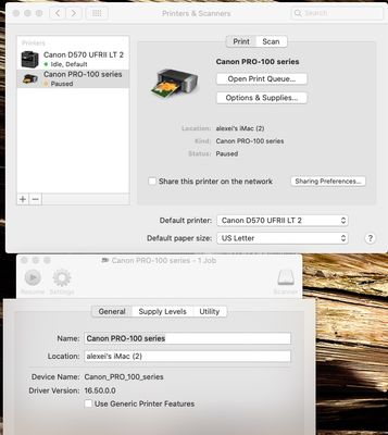Screen Shot 2022-01-13 at 4.46.40 PM.jpg