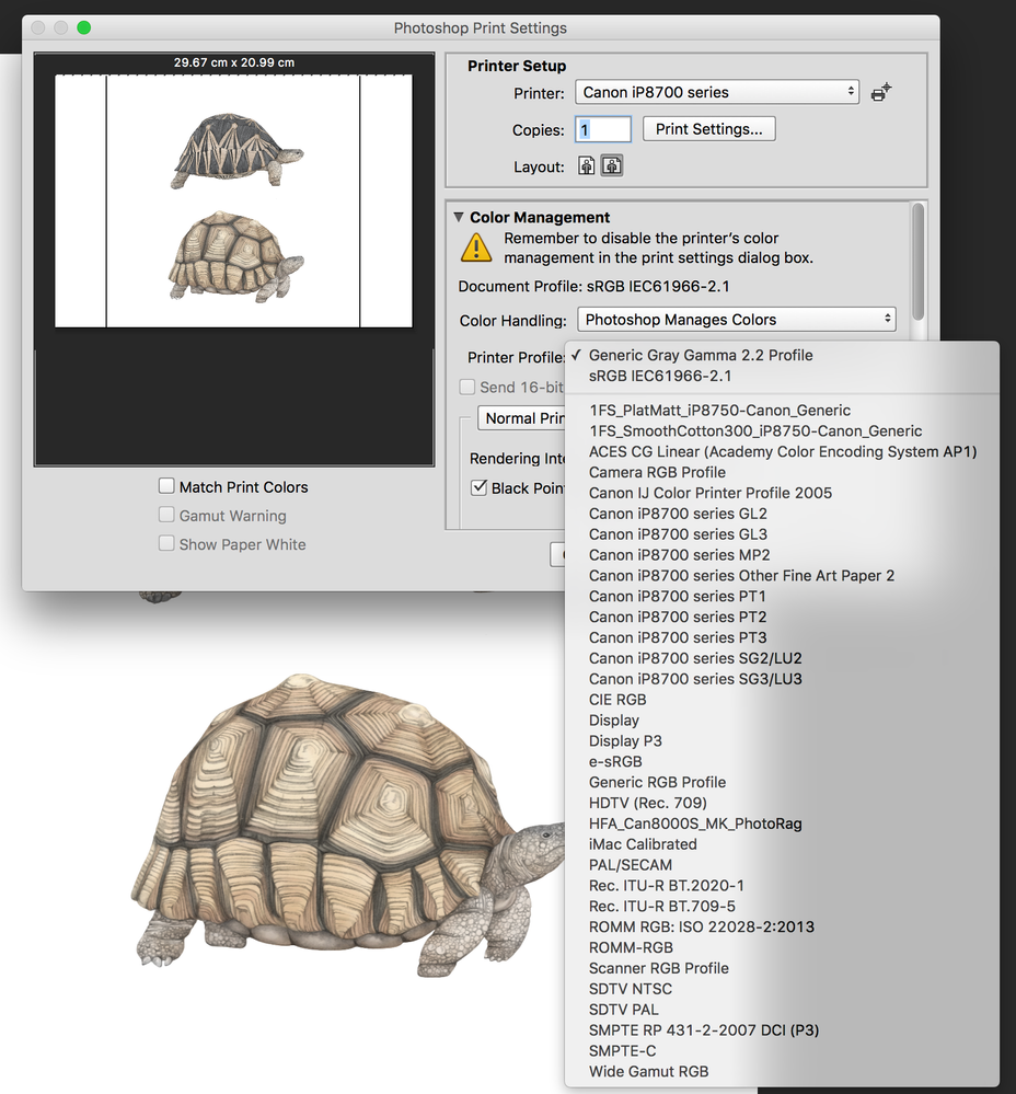Screen Shot 2022-01-16 at 15.13.28.png