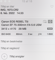 Skærmbillede 2022-02-06 kl. 14.33.18.png