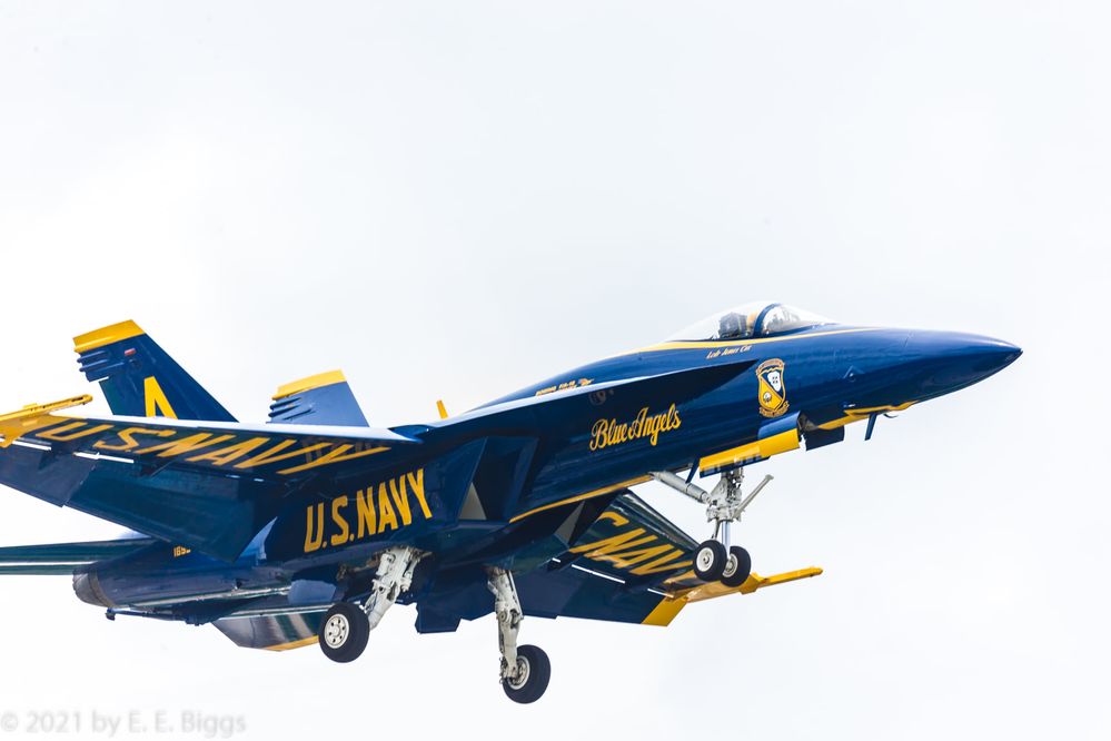 blue angel.jpg