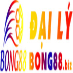 dailybong88biz