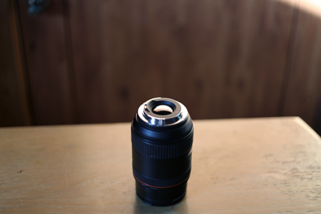 IMG_0033small.jpg