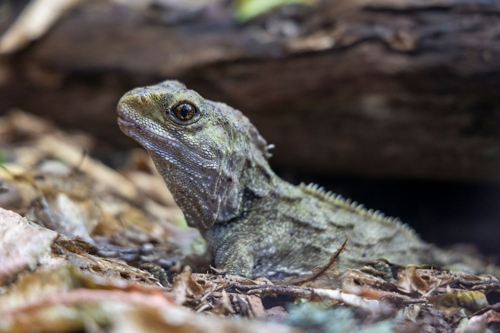 _61_1543 LR copy.jpg