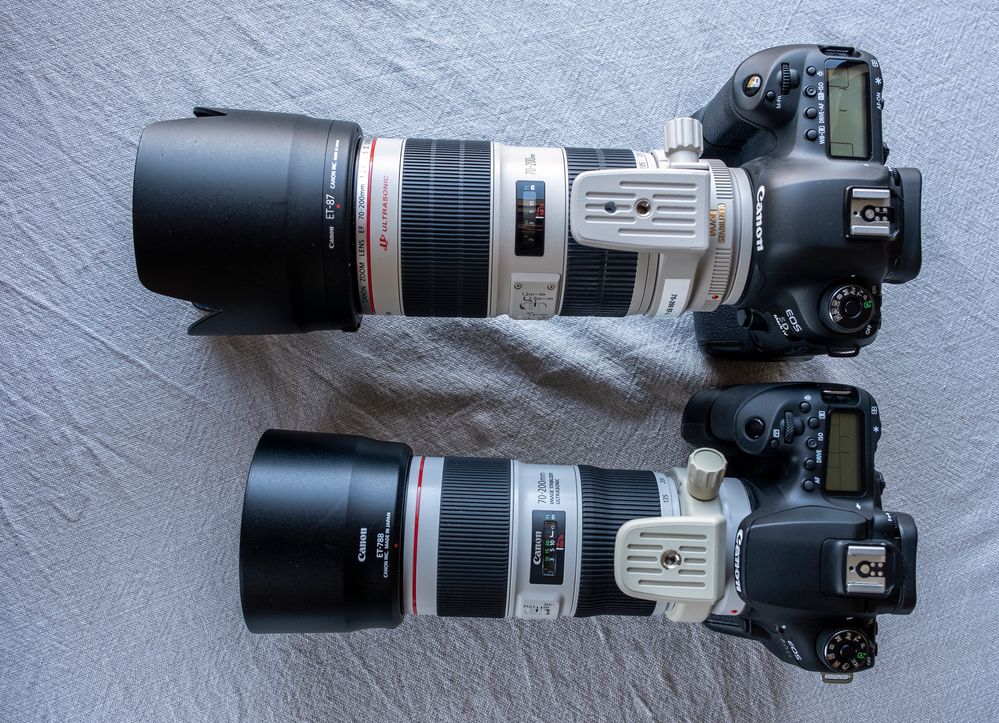Canon EOS 6D Mark II + EF 70-200mm f/2.8L IS III USM
