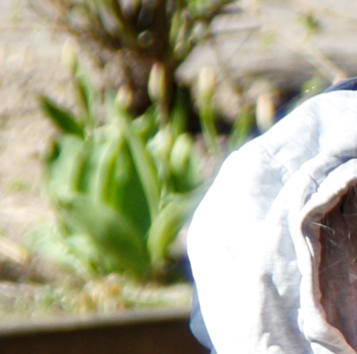 Skärmbild från 2022-05-14 08-43-24.png