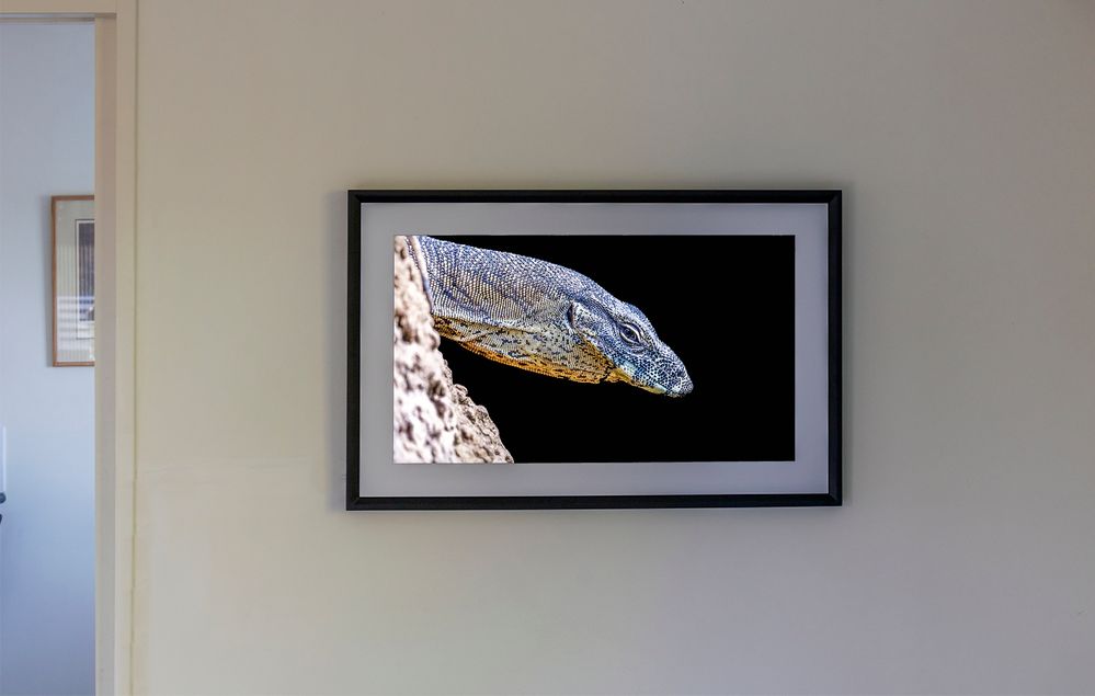 _62_2465 LR copy.jpg