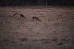 IMG_0199 (800x533).jpg