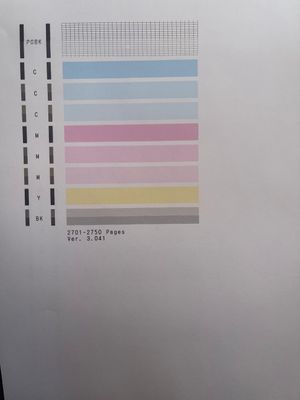 Ink Head Problem .jpeg