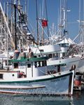 Morro Bay harbor - detail