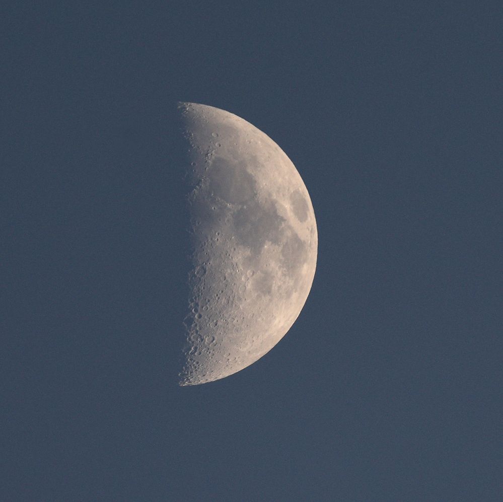 1DX II Sigma 150-600