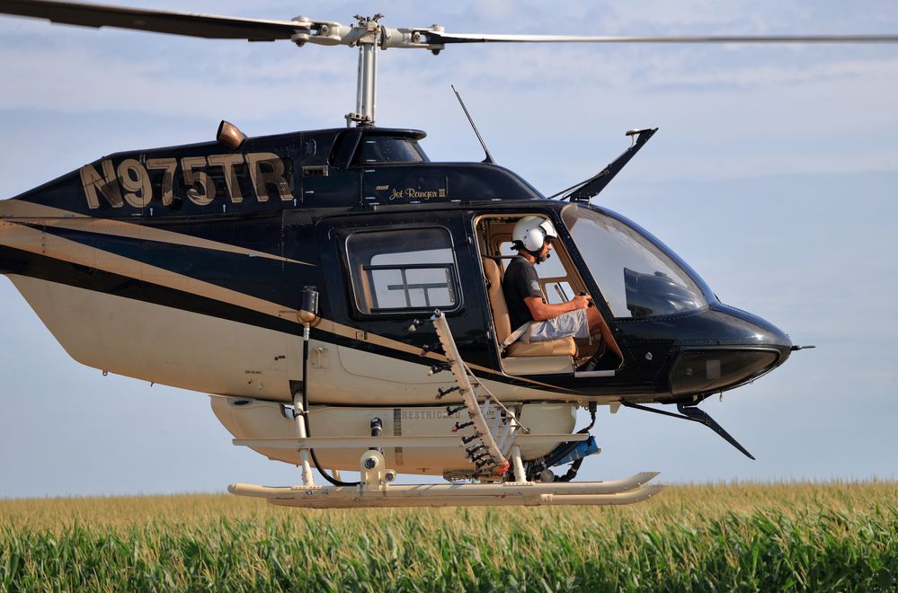 1DX II Sigma 150-600