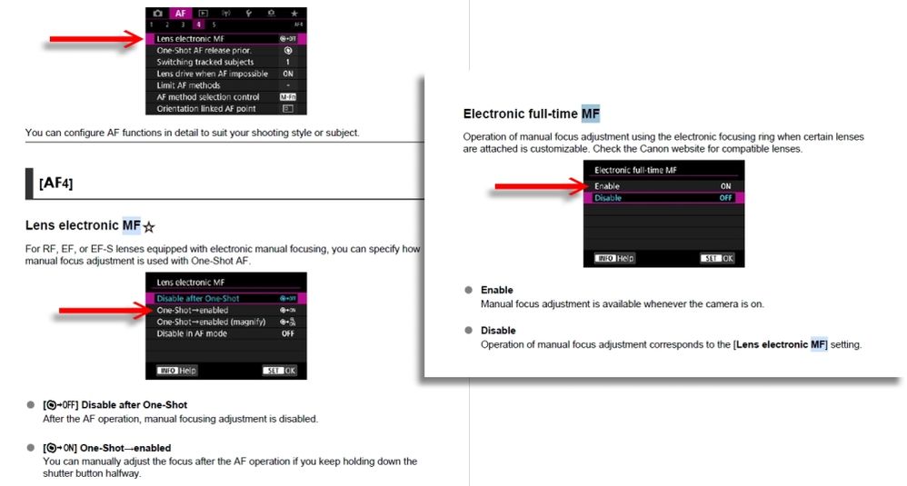 My MFO Settings for the R5 & R6