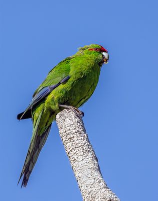 R5013839 LR copy.jpg