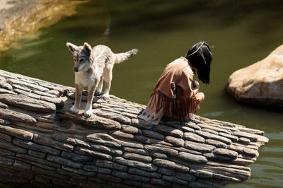 Rivers of America