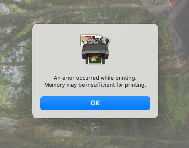 Do Printers Have Memory? How to Clear Printer History