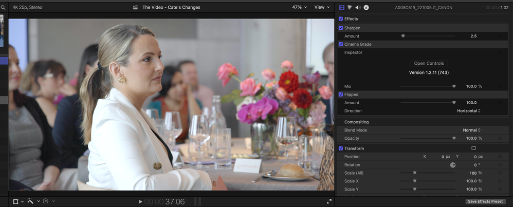 White border on the left and right of frame at 100%.
