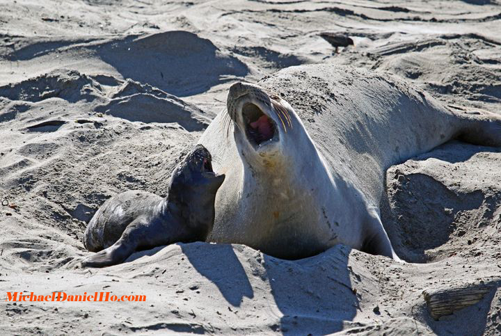 Happiness is having a Howling good time with Mom